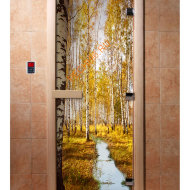 Дверь стеклянная DoorWood с фотопечатью «Золотая осень»