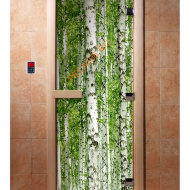 Дверь стеклянная DoorWood с фотопечатью «Березовая роща»