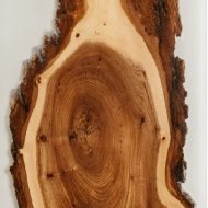 Дверь стеклянная DoorWood с фотопечатью «СЛЭБ-15»