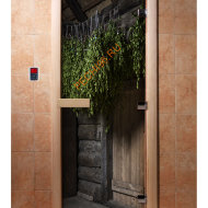 Дверь стеклянная DoorWood с фотопечатью «Здоровый дух»