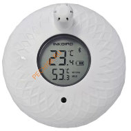 Термометр PolarSPA