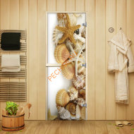 Дверь стеклянная Арта Креатив Ракушки, осина