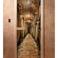 Дверь стеклянная DoorWood с фотопечатью «Винный погребок»