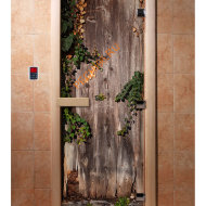 Дверь стеклянная DoorWood с фотопечатью «Старинный сад»