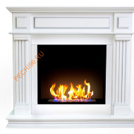 Биокамин ZeFire Айдахо