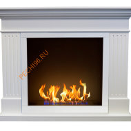 Биокамин ZeFire Токен