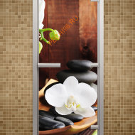 Дверь стеклянная ALDO «Спа» коробка алюминий с порогом