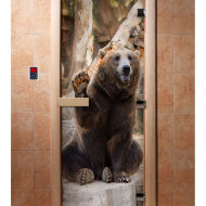 Дверь стеклянная DoorWood с фотопечатью «Бурый мишка»