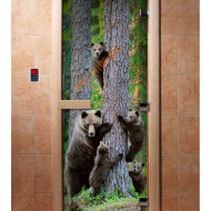 Дверь стеклянная DoorWood с фотопечатью «Мишки в лесу»