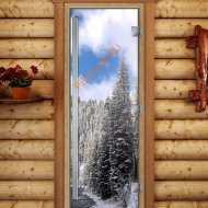 Дверь стеклянная DoorWood «Престиж», 800х2000мм, с фотопечатью «Дальний север»
