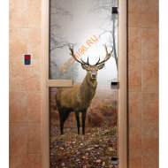 Дверь стеклянная DoorWood с фотопечатью «Благородный олень»