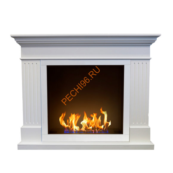 Биокамин в портале Русский огонь Турин