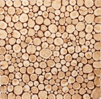 Панно из можжевельника