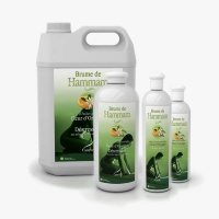 Ароматизаторы для хамама